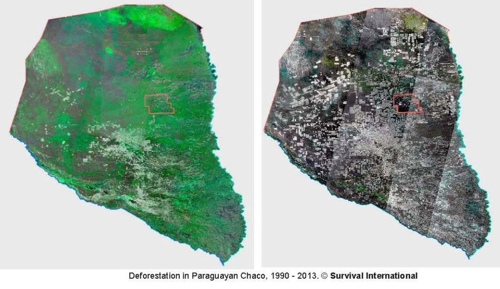 Deforestation in Paraguayan Chaco