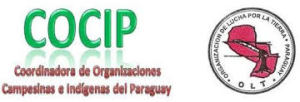 Cocip Logo