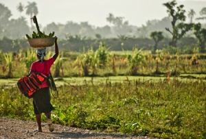 Lo-sostenible-no-siempre-es-lo-justo_large